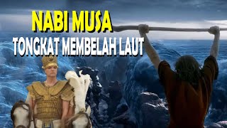 KISAH TONGKAT NABI MUSA MEMBELAH LAUT MERAH TONGKAT BERUBAH MENJADI ULAR [upl. by Ffej]