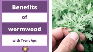 Benefits of wormwood [upl. by Ylrebme]