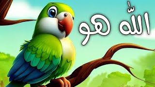 Chirya Boli Choo Choo  ALLAH HO ALLAH HO  Urdu rhymes for kids  Islamic Childrens Lullaby [upl. by Adaliah]