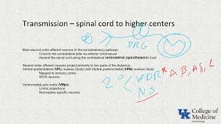 Pain ITE Keywords  Dr Craig [upl. by Ezmeralda]