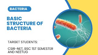 Basic structure of Bacteria  Bacteria series  L1 [upl. by Feer796]