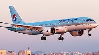 Infinite Flight  Korean Air A220300 Full landing into Seoul Incheon Airport RKSI [upl. by Ardnovahs]