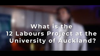 What is the 12 Labours Project at the University of Auckland [upl. by Haland]