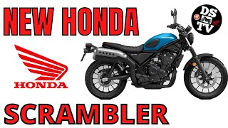 2023 Honda CL500 Scrambler First Look [upl. by Annocahs]