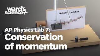 AP Physics Lab 7 Conservation of Momentum  Ballistic Pendulum [upl. by Kluge]