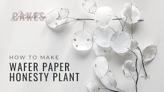 How to make wafer paper honesty plant money plant lunaria  Florea Cakes [upl. by Kovar81]