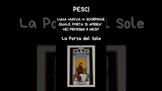 PESCI QUALE PORTA SI APRIRA [upl. by Karlee]