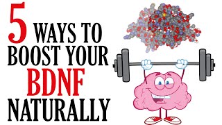 How to Increase BDNF Naturally  Boost Brain Power [upl. by Lessur]