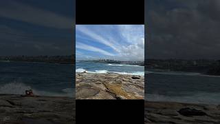 Walking at Clovelly Beach Sydney Music andrejvolanickij yellowflowers clovellybeach [upl. by Jeggar]