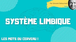 Le SYSTEME LIMBIQUE [upl. by Branden746]