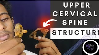 UPPER CERVICAL SPINE STRUCTURE AND LIGAMENTS BIOMECHANICS OF SPINEPhysiotherapy Tutorial [upl. by Ydieh]