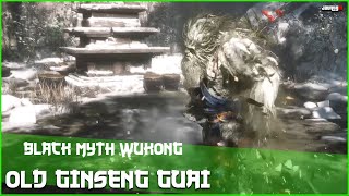 How to find and beat Old Ginseng Guai Chapter 3  Black Myth Wukong [upl. by Ayomat934]