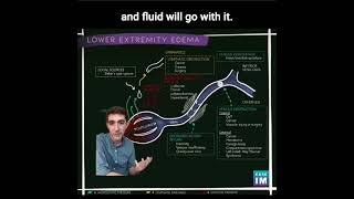 45 How does oncotic pressure and changes in big molecules cause lower extremity edema [upl. by Sev438]