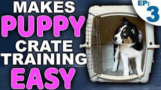 Picking The PERFECT Puppy Crate Training Location [upl. by Alicea]