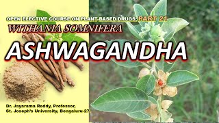 Ashwagandha Part 21 Withania somnifera Plant Based Drugs St Josephs University Aphrodisiac [upl. by Wilder]