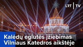 Kalėdų eglutės įžiebimas Vilniaus Katedros aikštėje  20231201 [upl. by Nunci]