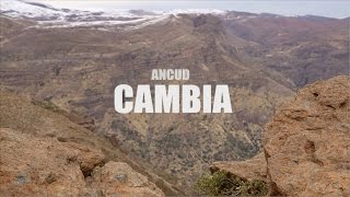 Ancud  Cambia lyric video [upl. by Denny]