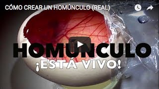 ¿CÓMO CREAR UN HOMÚNCULO REAL  MaireWink [upl. by Storfer33]