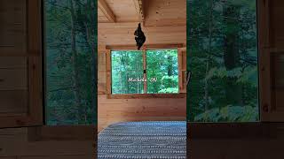 Check out this beautiful Bunkie in Muskoka Ontario [upl. by Hpeseoj]