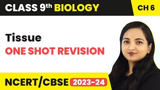 One Shot Revision  Tissues  Class 9 Biology Chapter 6  202324 [upl. by Prudi]