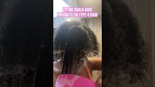 TRYING SKALA HAIR PRODUCTS ON TYPE 4 HAIR curlyhair skalabrasil washandgo type4hair [upl. by Larrej]