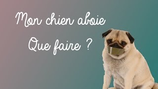 Mon chien aboie  Que faire [upl. by Geaghan]