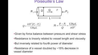 32 Introduction to the Biophysics of Blood Flow in the Circulation [upl. by Armyn733]