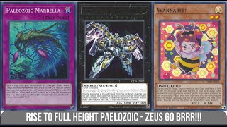 Paleozoic Deck  ZEUS Everything [upl. by Nonrev284]