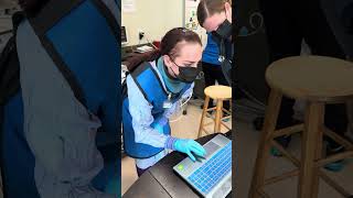 Penn Foster Externship 2 Skill 14 Dental Radiographs PositioningTaking [upl. by Nairadas]