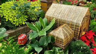 Christmas Display Krohn Conservatory Cincinnati 2023 [upl. by Normandy413]