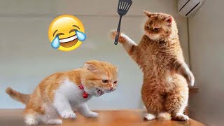 Try Not To Laugh 😅 Funniest Cats and Dogs 2023 😹🐶 Part 9 [upl. by Nelubez]