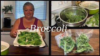 BLANCHING BROCCOLI FOR THE FREEZER [upl. by Cogswell]