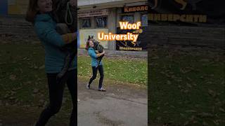 Центр дрессировки собак Woof University СПб и Всеволожск кинолог питер всеволожск собака [upl. by Nosredna624]