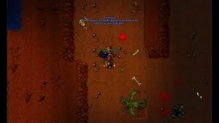 Tibia Quest guide 6 The Devil Helmet Quest [upl. by Bunting69]