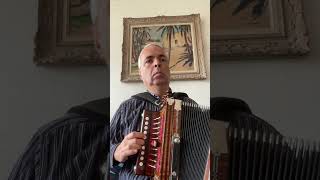 Bride of the wind Melody A 14 Cajun Accordion Martin lygeros music youtubeshorts [upl. by Llenahc]