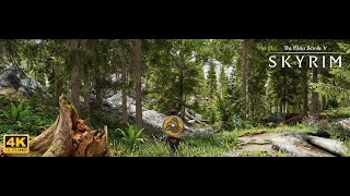 4K SKYRIM SE Ultra Modded Gameplay with Ulvenwald Forests Mod [upl. by Calendre722]