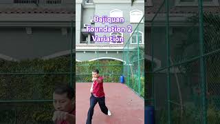 Bajiquan Foundation 2 Variation  Another version of Straight Cross Punch sports motivation [upl. by Anhsirk722]