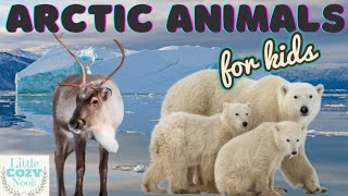 Arctic Animals For Kids Educational READ ALOUD for Children [upl. by Olgnaed]