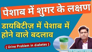 डायबिटीज़ में पेशाब में क्या संकेत आते है  What are Symptoms of Diabetes sugar in urine [upl. by Paris976]