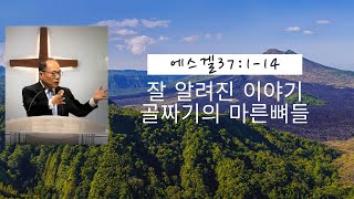 에스겔37114 잘 알려진 이야기골짜기의 마른뼈들 [upl. by Girardo]