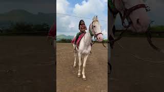 Dhruvi Horse 🐎 Riding  horse horses ghoda horseriding horselover ytvideo shortsfeed dhruhi [upl. by Eylhsa]