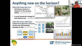 Scouting and Management of Citrus Diseases HLB Phytophthora Leprosis [upl. by Llirrem]