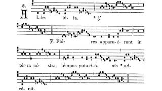 Gregorian Chant  Julian D Jankowski  Feast of Our Lady of Guadalupe December 12  Alleluia [upl. by Laurence]