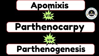 Parthenogenesis class 12  Difference Between Parthenogenesis and Parthenocarpy  Apomixis class 12 [upl. by Wawro]