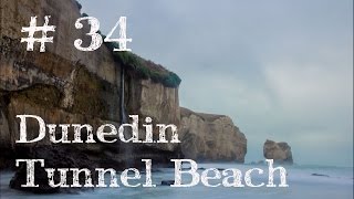 Dunedin Tunnel Beach Neuseeland  Weltreise Vlog  Work and Travel 34 [upl. by Wilkison]