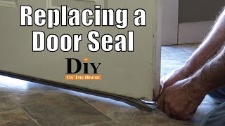 Replace the Door Seal on the Bottom of Door  How to Keep Bugs Out of Your House [upl. by Tonkin]