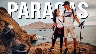 BEST Things To Do in Paracas Peru  Islas Ballestas and Paracas National Reserve [upl. by Sparks877]