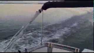 Elling E4  14 knots on markermeer with sunsetmp4 [upl. by Earb]