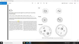 Dientamoeba fragilis شرح [upl. by Faustine]