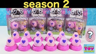 Season 2 Hatchimals CollEGGtibles Surprise Egg 2 Packs Toy Review Opening  PSToyReviews [upl. by Akimed116]